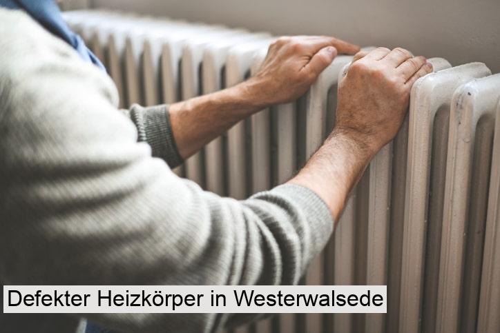 Defekter Heizkörper in Westerwalsede